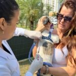 Prefeitura de Indaiatuba promove no sábado (19/10) vacinação contra raiva animal no Parque Campo Bonito