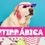 Cadastro para a primeira vacinação antirrábica em Indaiatuba do ano será aberto no dia 23